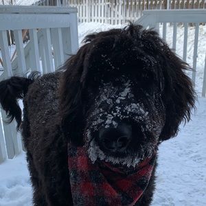 Meet your Posher, Meredith